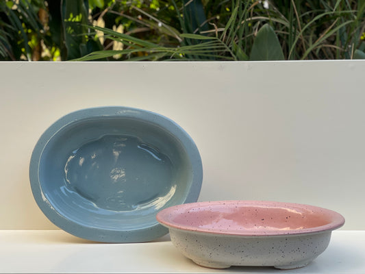 Bonsai pot serving