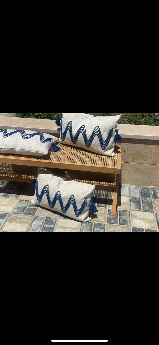 Blue Tassle Cushion